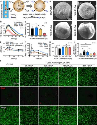 Optimizing an Injectable Composite Oxygen-Generating System for Relieving Tissue Hypoxia